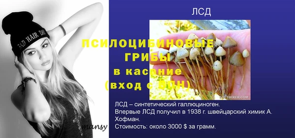 прущая мука Семёнов