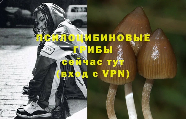 СК Абдулино