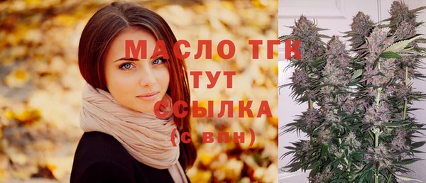 дживик Абаза