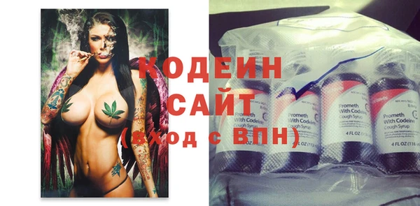 дживик Абаза
